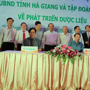 Tập đoàn GFS ký thỏa thuận hợp tác phát triển Dược liệu với tỉnh Hà Giang 